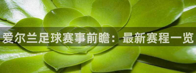 爱尔兰足球赛事前瞻：最新赛程一览