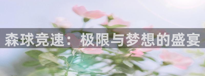 森球竞速：极限与梦想的盛宴