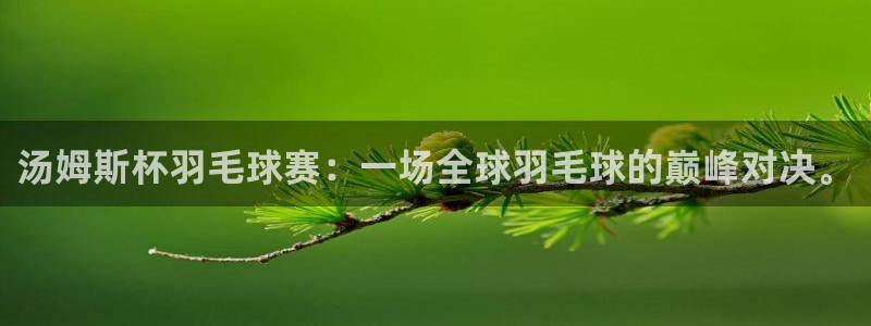 汤姆斯杯羽毛球赛：一场全球羽毛球的巅峰对决。
