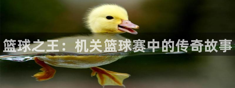 星空体育官网入口：篮球之王：机关篮球赛中的传奇故事