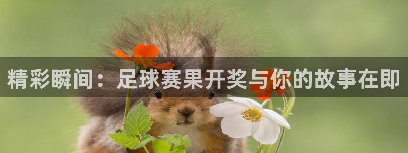 星空xk体育：精彩瞬间：足球赛果开奖与你的故事在即